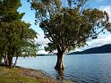 New_Zealand (507)